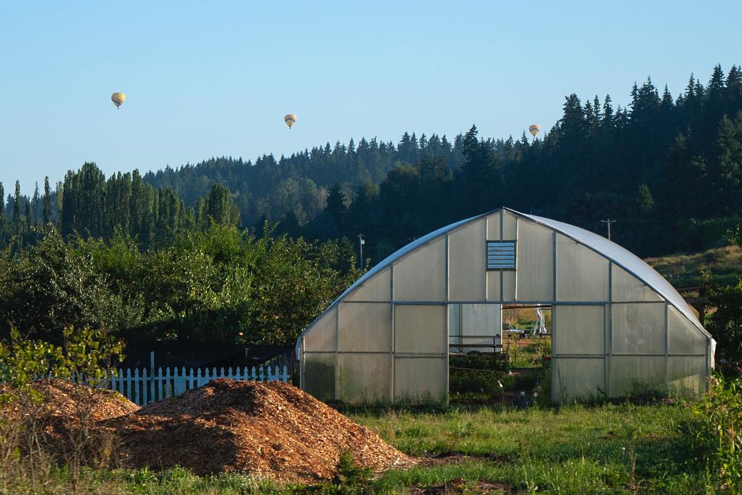Hot air balloons over Woodinville