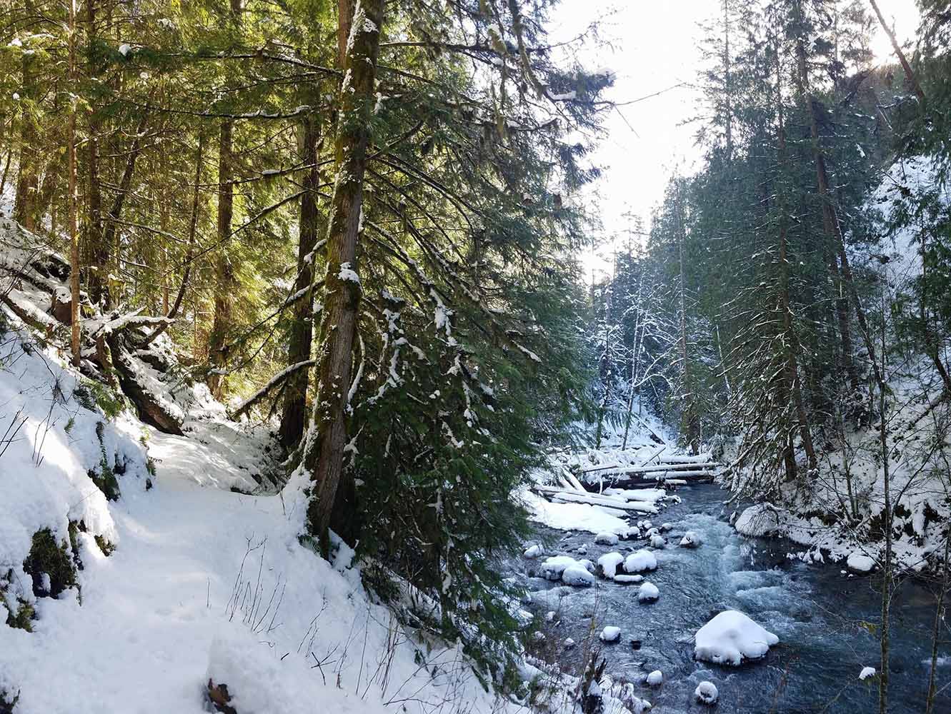 Snowy descent from Olympic Mountain