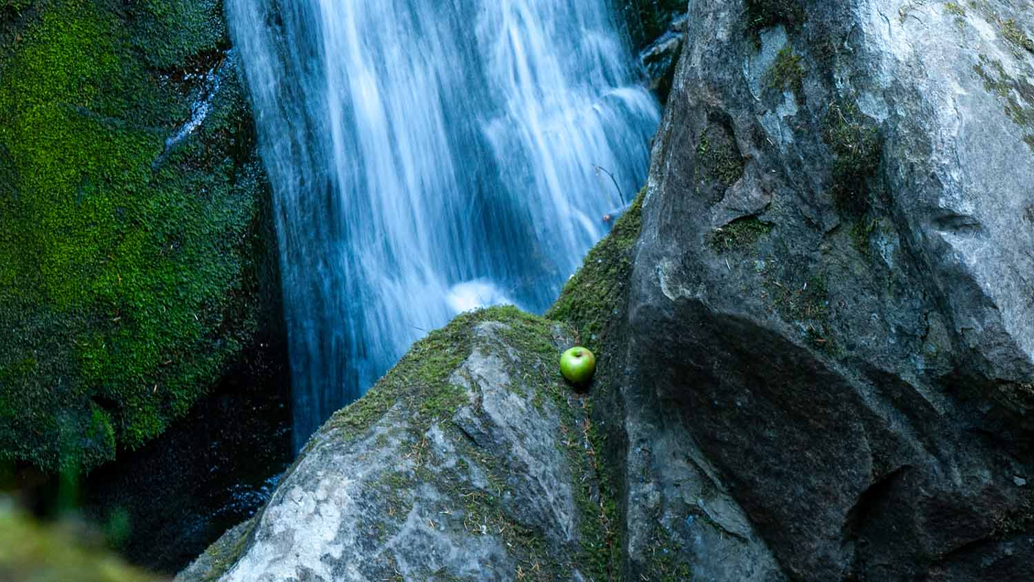 Why iPhone Is the Right Choice for Security, Privacy, and Compatibility